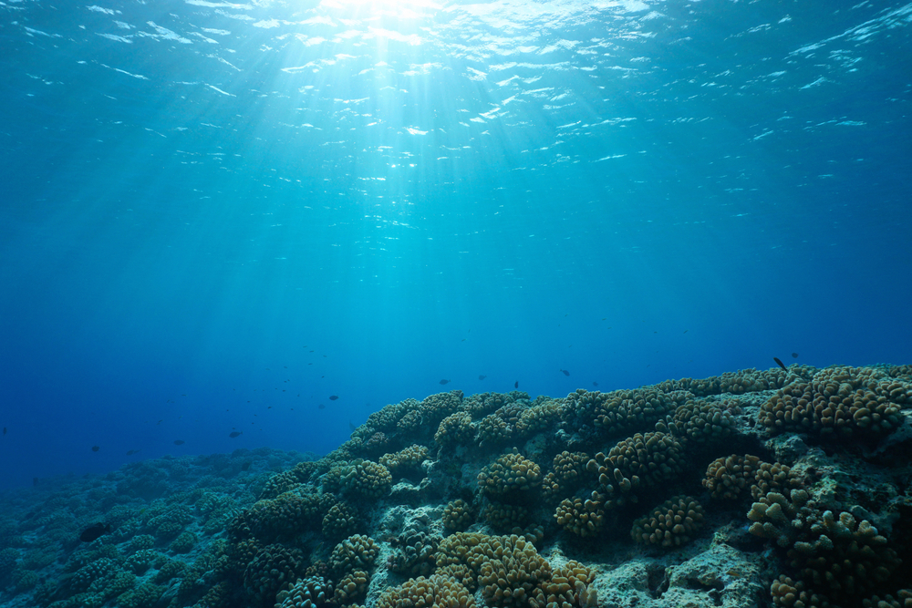 Pacific coral reefs may be mor