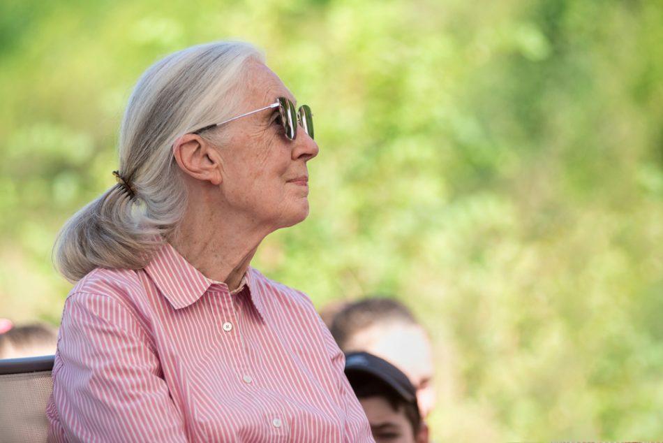 Budapest, Hungary - August 09, 2019: Jane Goodall speaks in Sashegy, Budapest