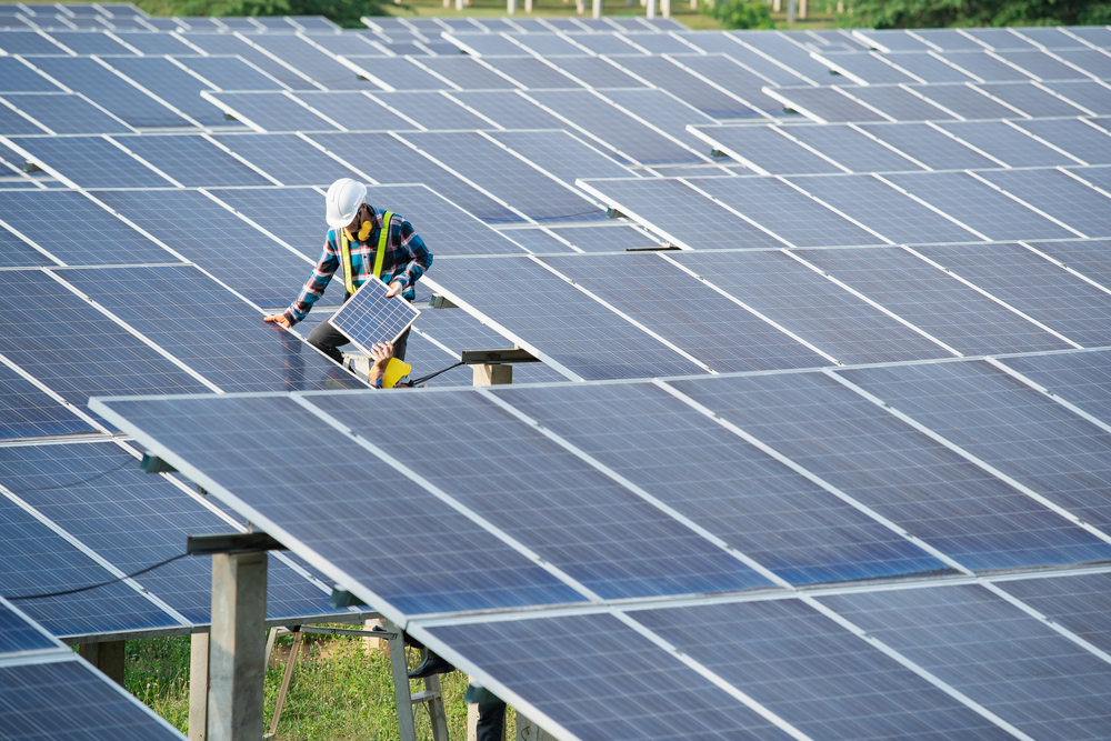 A massive solar farm rises fro