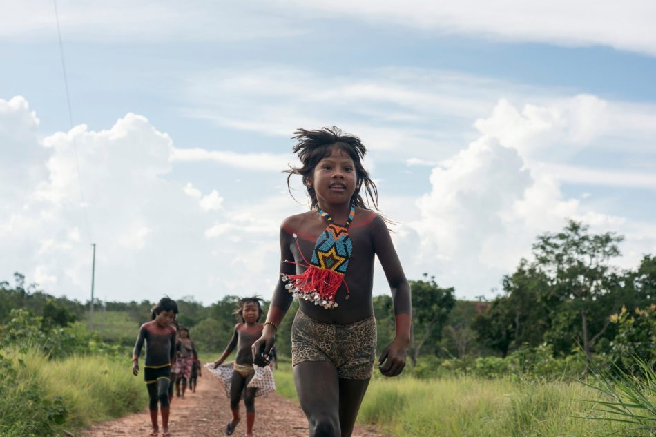 Brazilian Indigenous Peoples