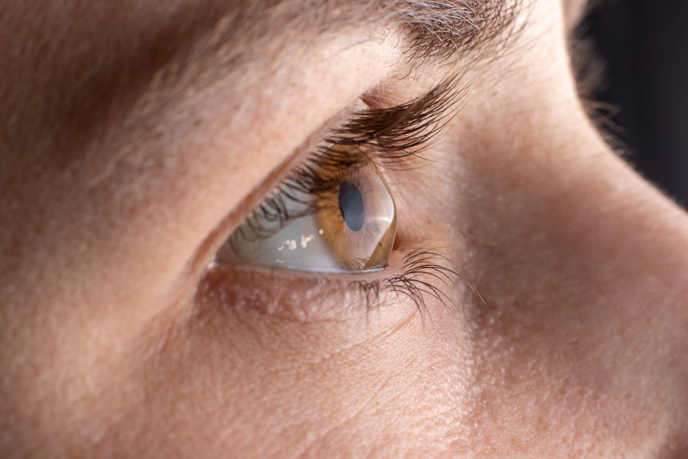 A synthetic cornea just restor