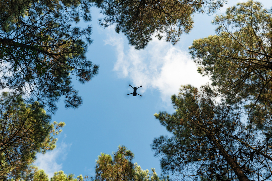 Drone flying amid trees in a forest