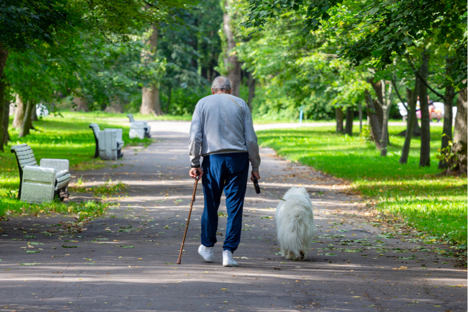 elderly gentleman takes a walk with his dog
