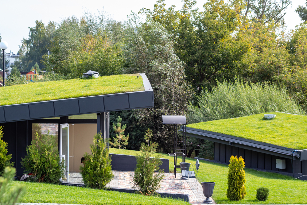 What are green roofs and shoul