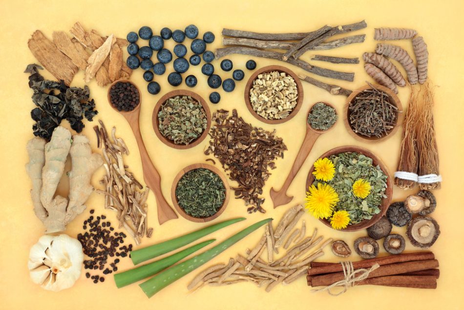 Adaptogen herb & spice health food selection. Natural plant based foods that helps the body deal with stress and promote or restore normal physiological functions. Flat lay on mottled yellow.