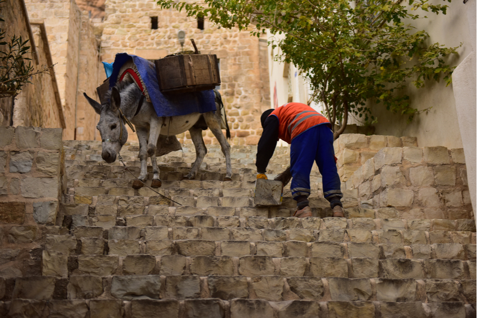 Donkey carrying bags of rubbish next to public service worker