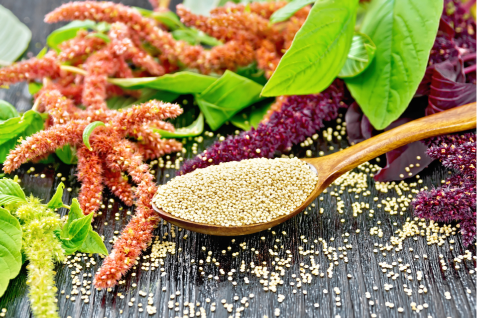 amaranth plants and amaranth seeds on a table