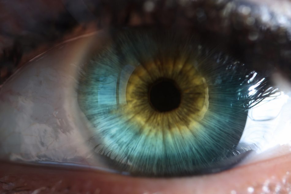 Beautiful closeup of blue human eye.