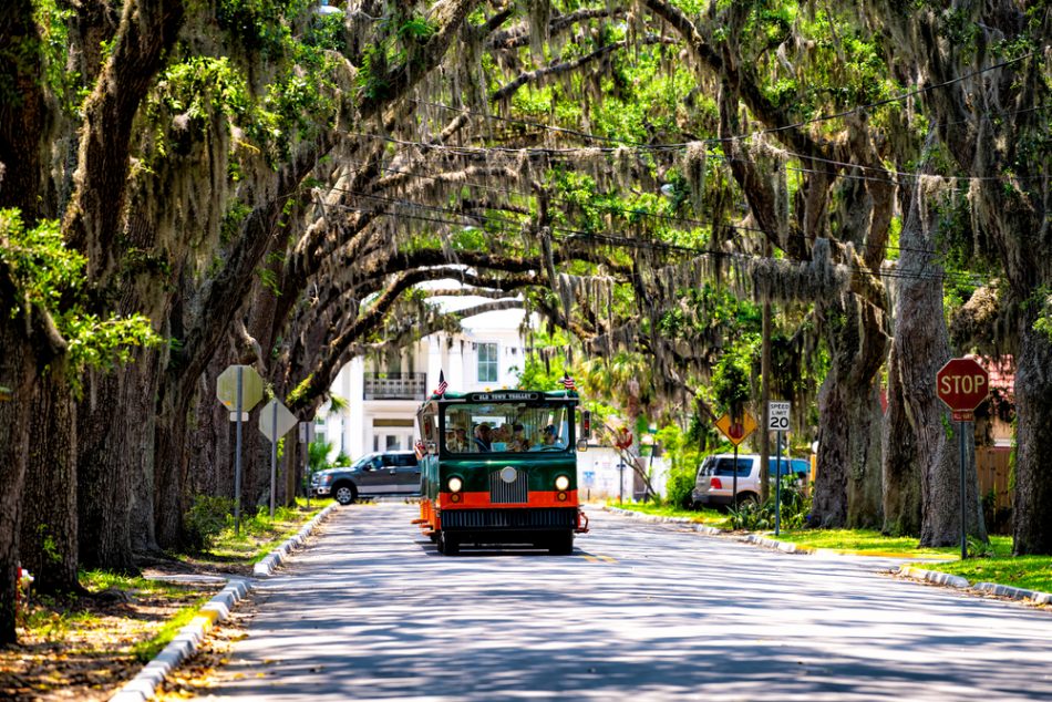Bus under live oaks in Florida street