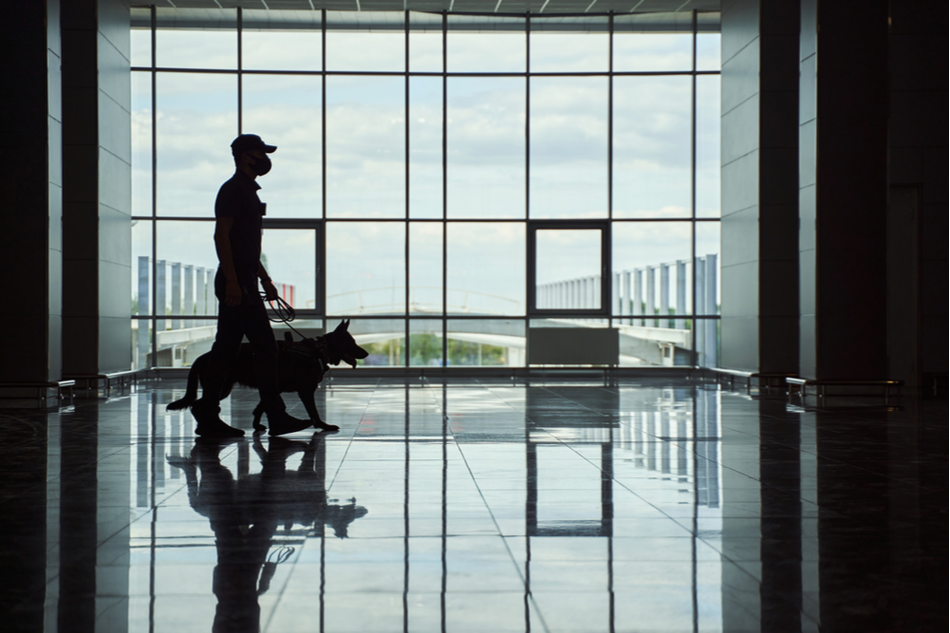 Security worker and police dog walking down airport terminal