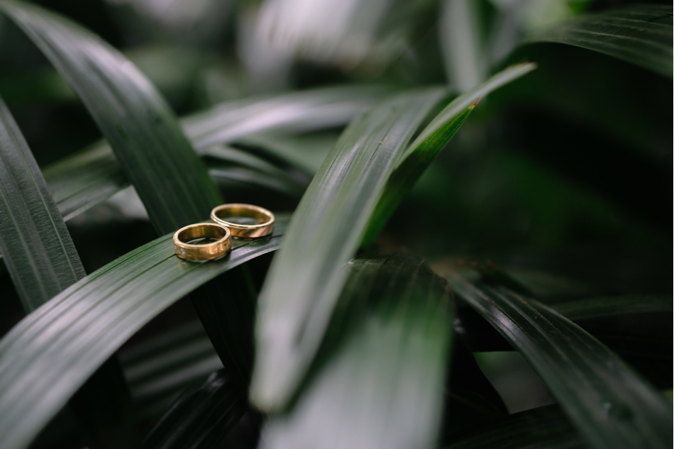 Wedding rings on a beautiful leaf