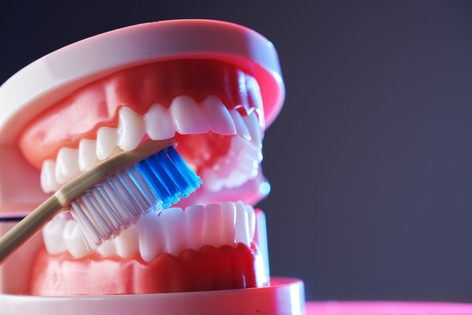 Close up of dentures and tooth brush.