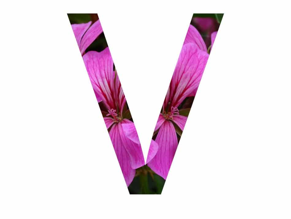 Viv for your V