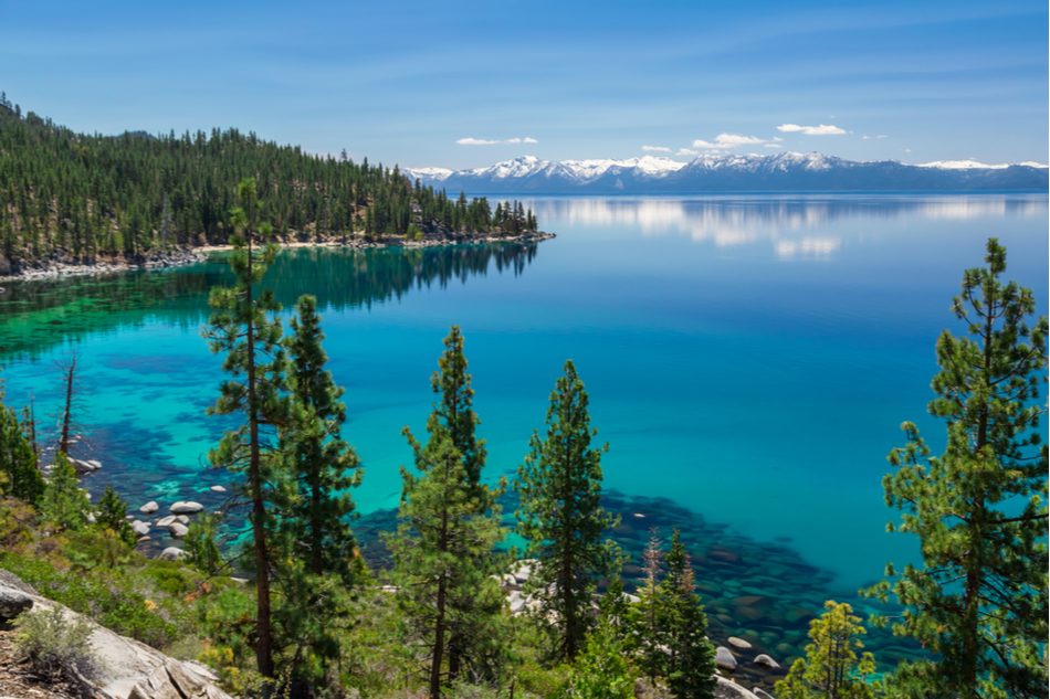 Aerial view of Lake Tahoe's clear water with pines on the shore