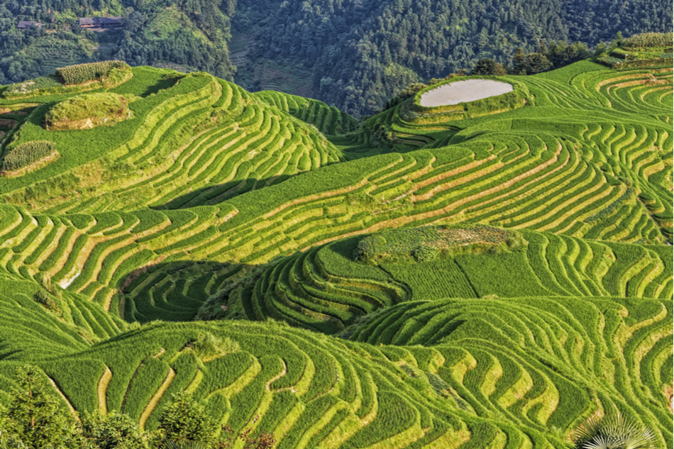 green and hilly landscape in South China’s Guangci Zhuang Autonomous Region