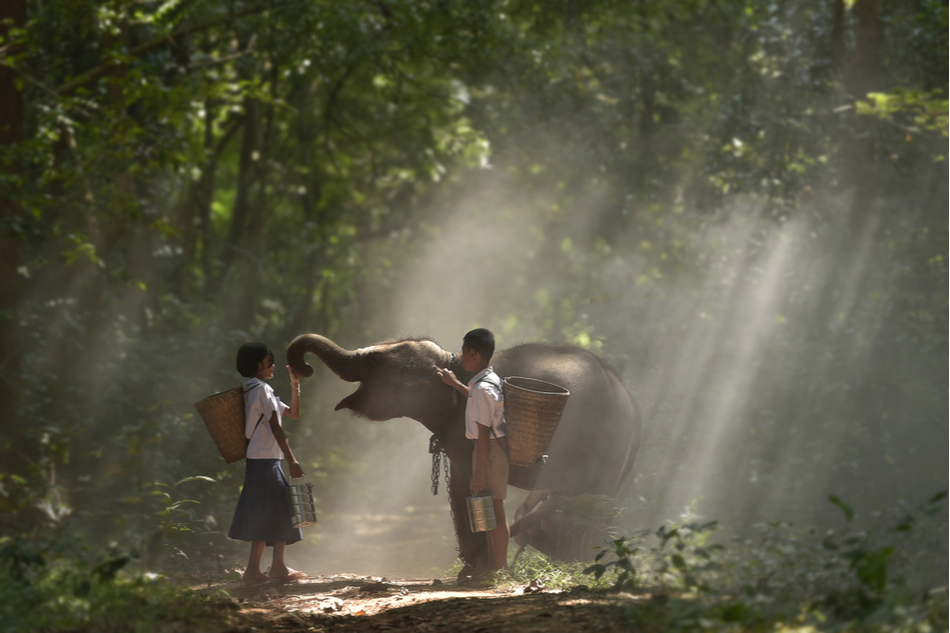 two children with baby elephant in the middle of the jungle