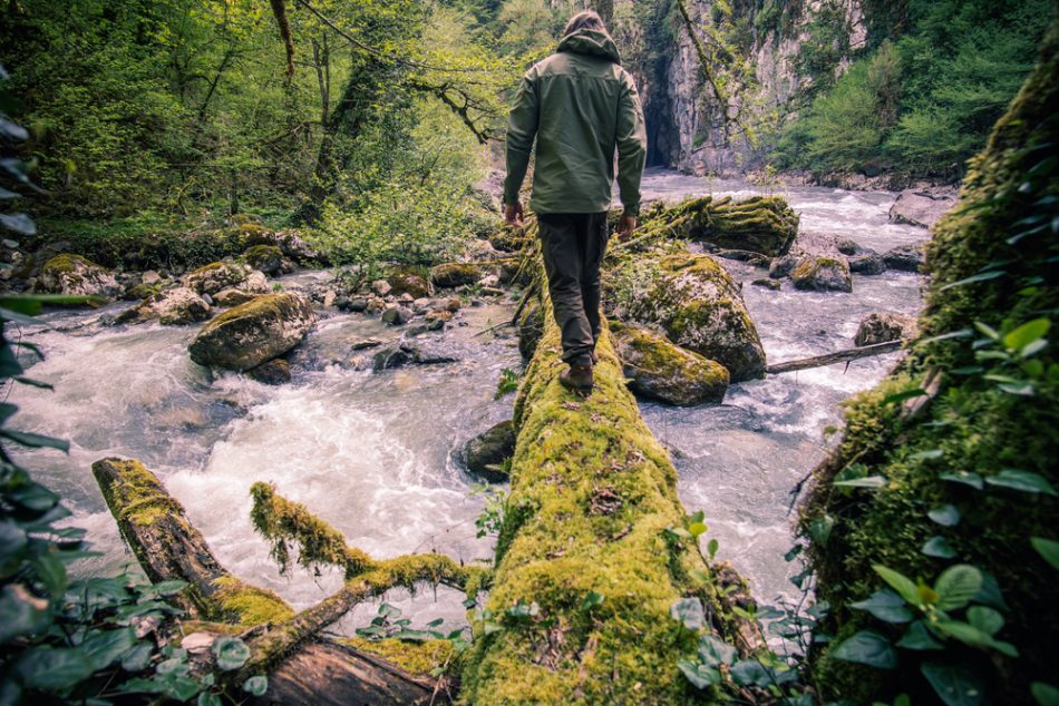 Person walking on a mossy log in the forest