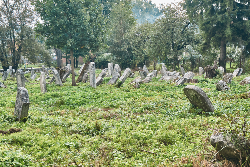The abandoned Jewish cemetery in Oleszyce. A cemetery survived in the area of 0.3 ha, on which 500 graves are located.