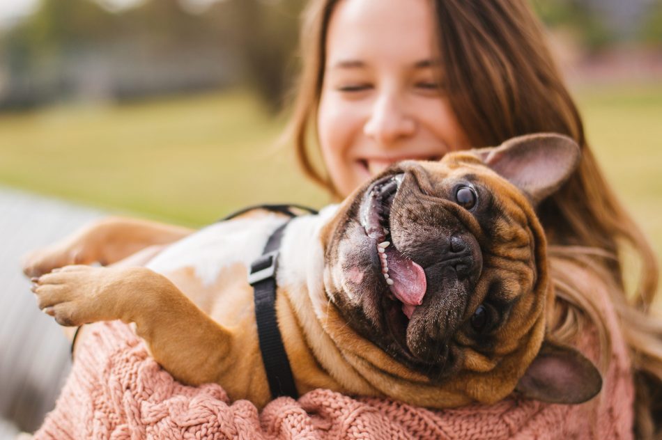 One dating app helps pets find