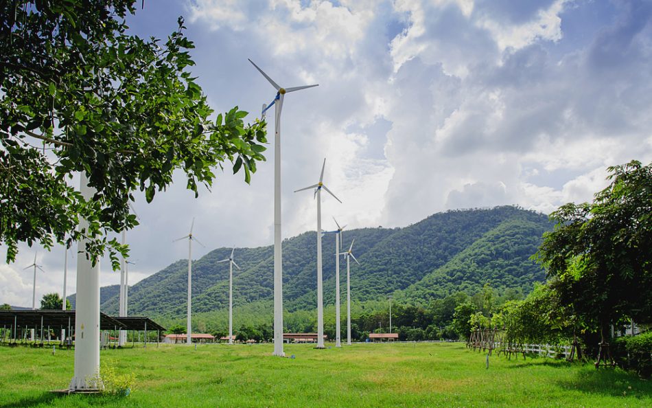 Wind turbines in a green grassy field with trees