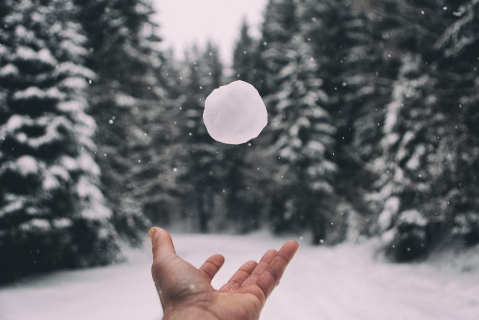 Hand playing with a snowball, snowy surroundings, trees with snow on them.