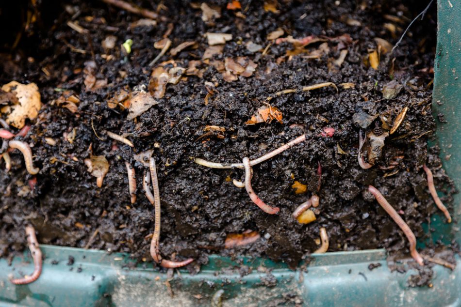 Take your composting to the ne