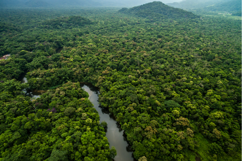 River flowing through forest in Gabon
