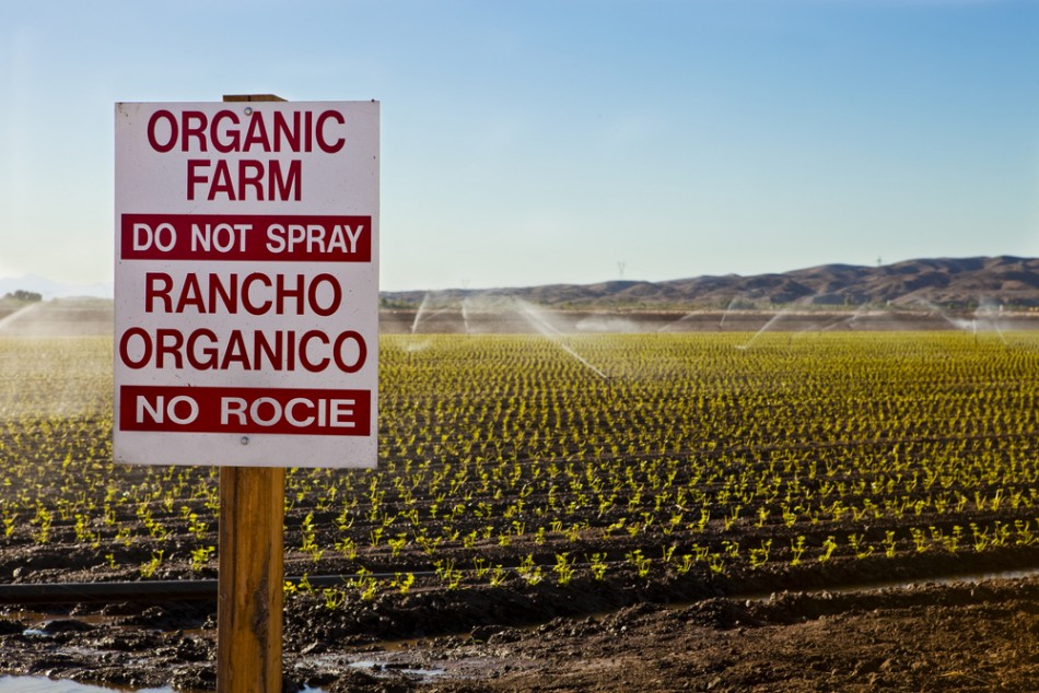 Eating organic affects pestici