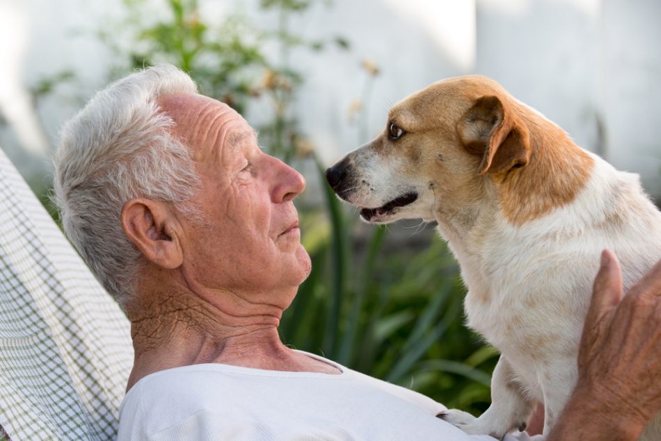 Owning a dog may help heart at