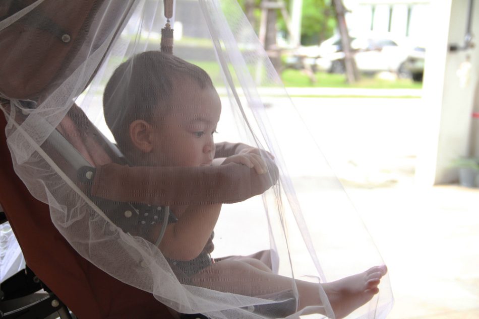 baby stroller covered by mosquito net