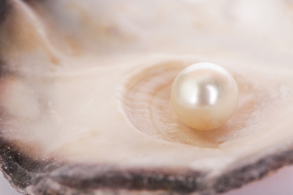 Single pearl in mollusk shell.