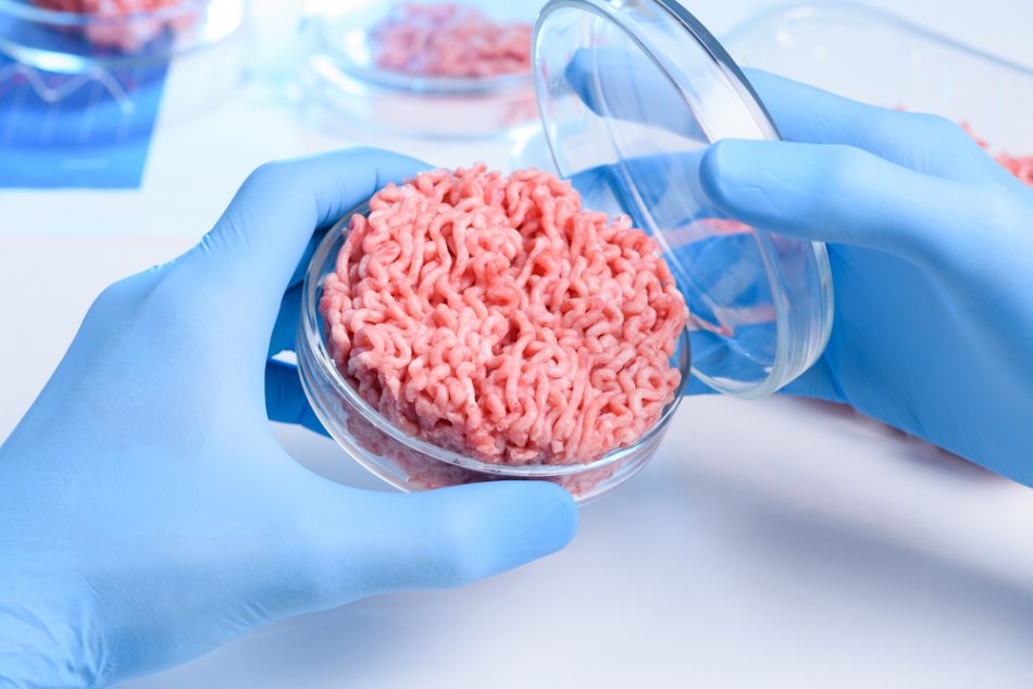 Lab-grown meat to become cheap