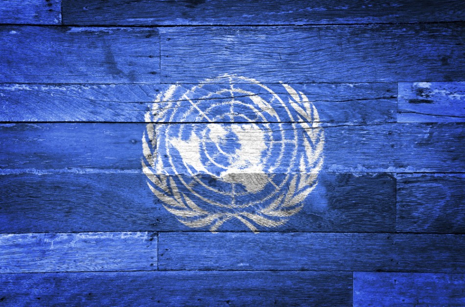 UN member states agree on sust