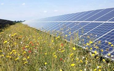 Solar farms offer biodiversity