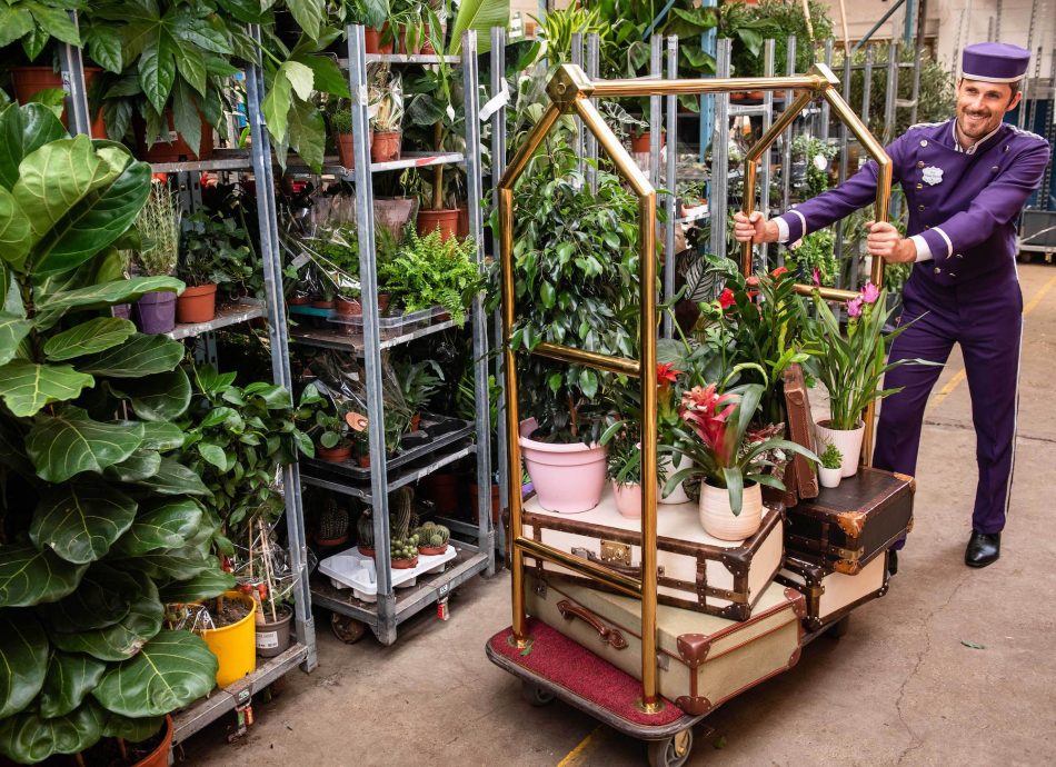 This plant hotel will take car